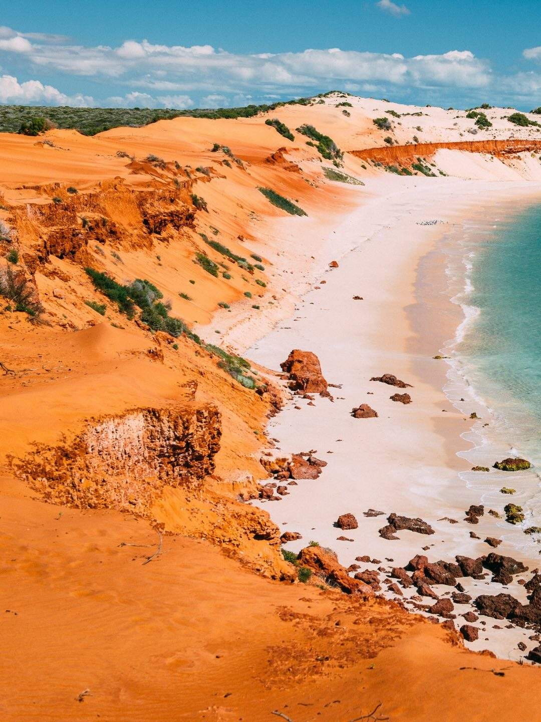 australiascoralcoast