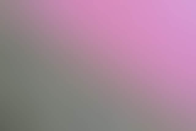 Hutt Lagoon Pink Lake 8