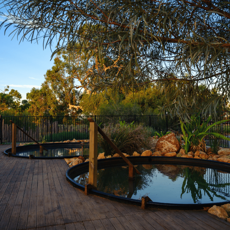 Wooramel-River-Retreat-Carnarvon-Station-Stay