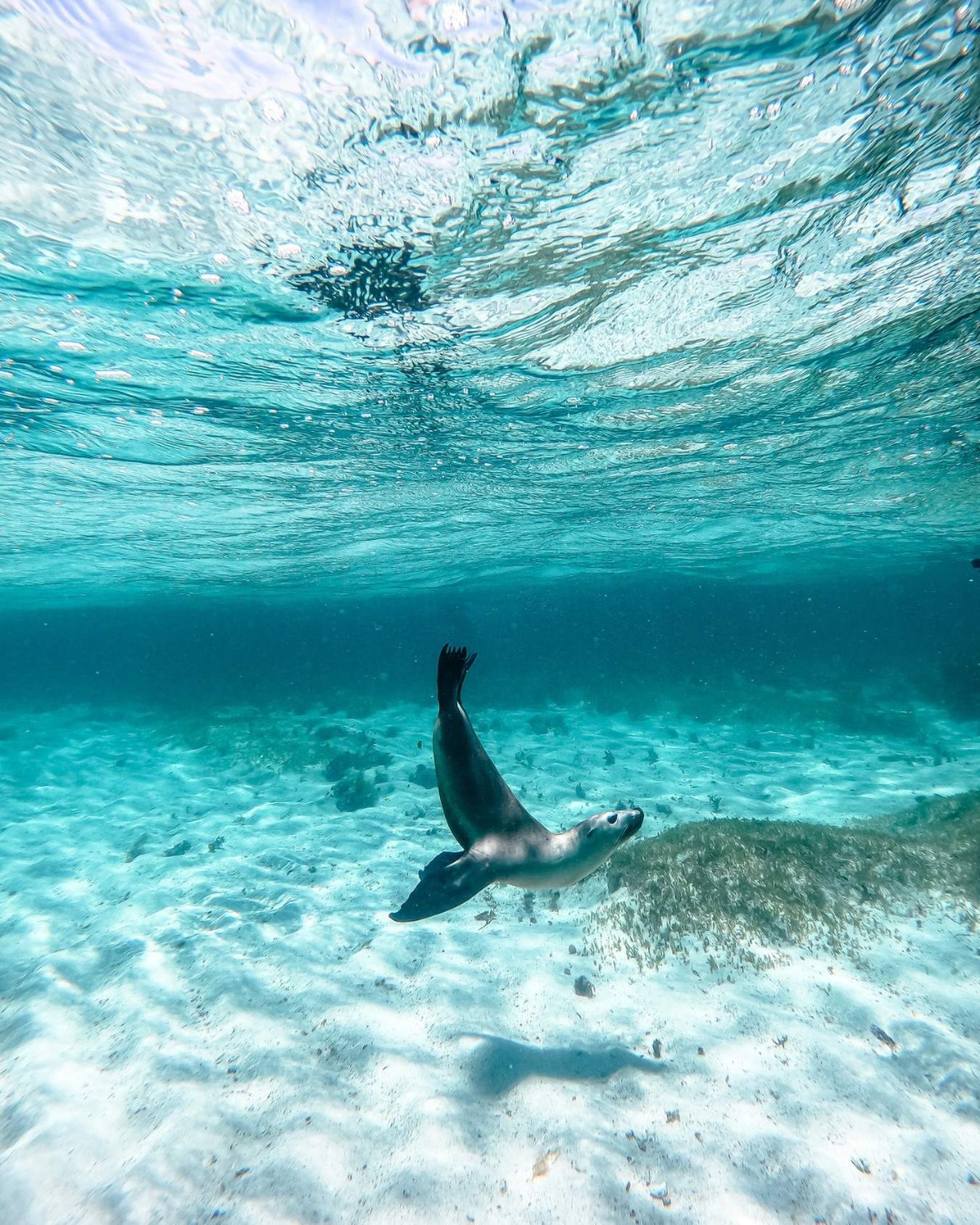 australiascoralcoast