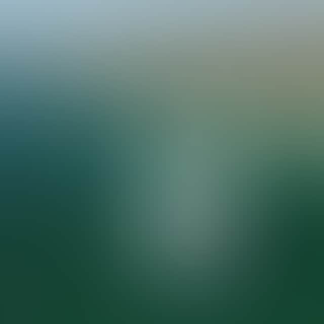 Header Perfect Nature Cruises