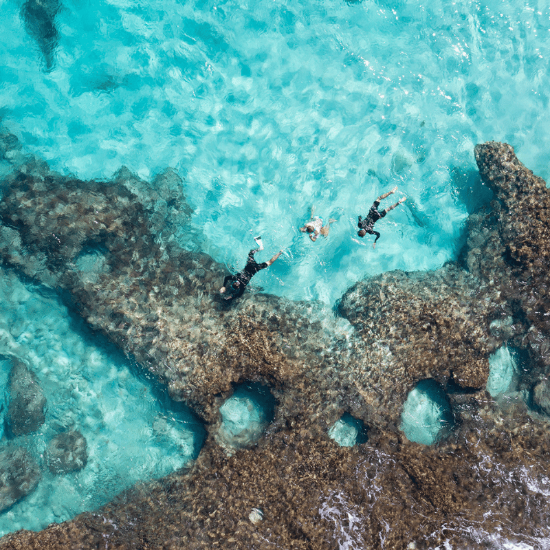 Ningaloo-Snorkel