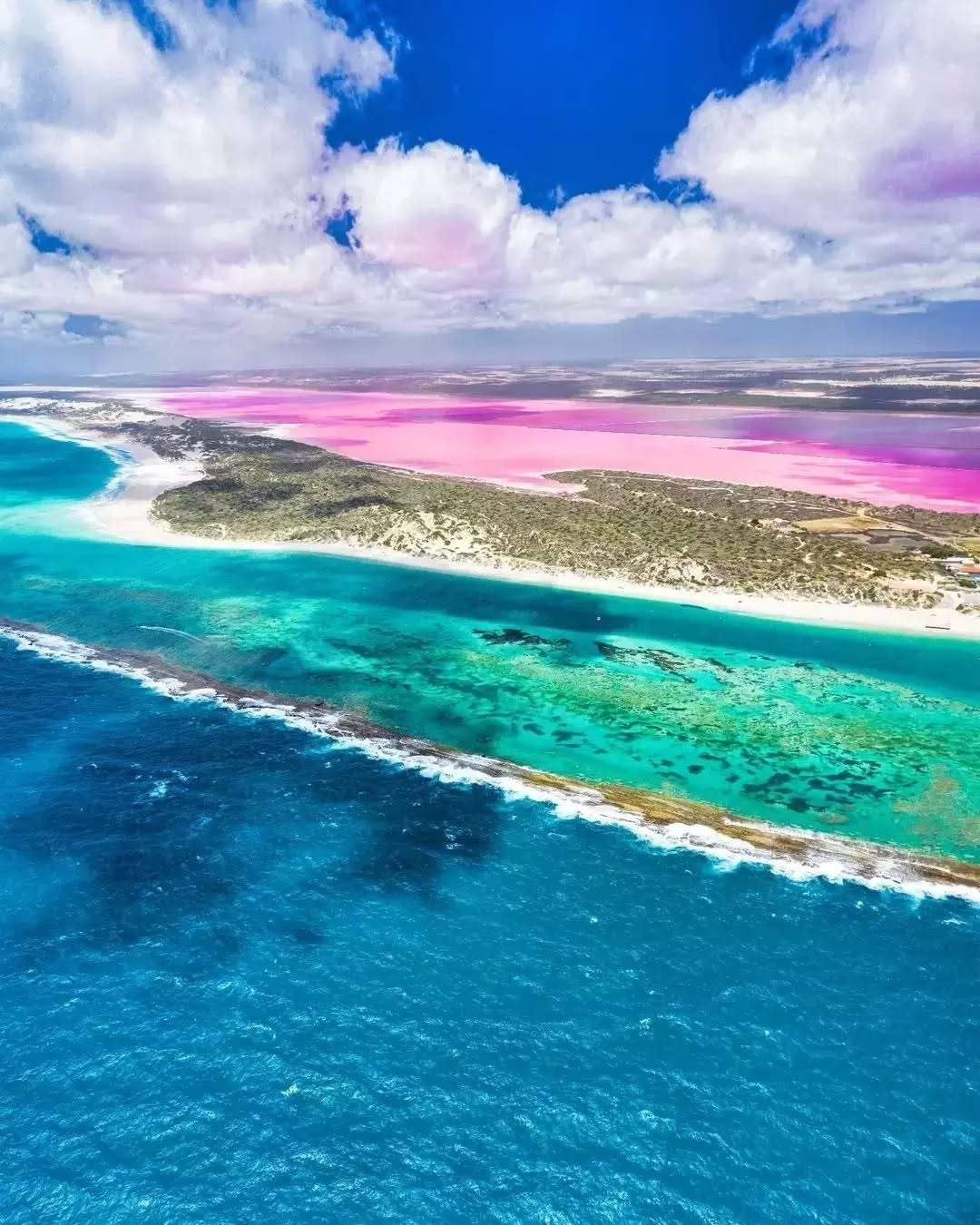 australiascoralcoast