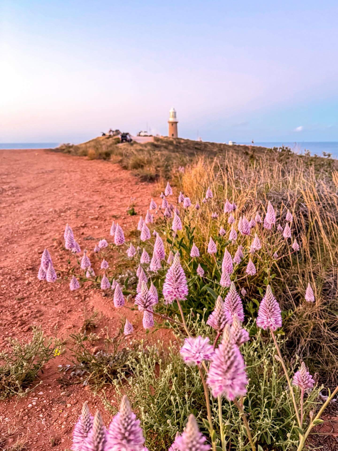 australiascoralcoast