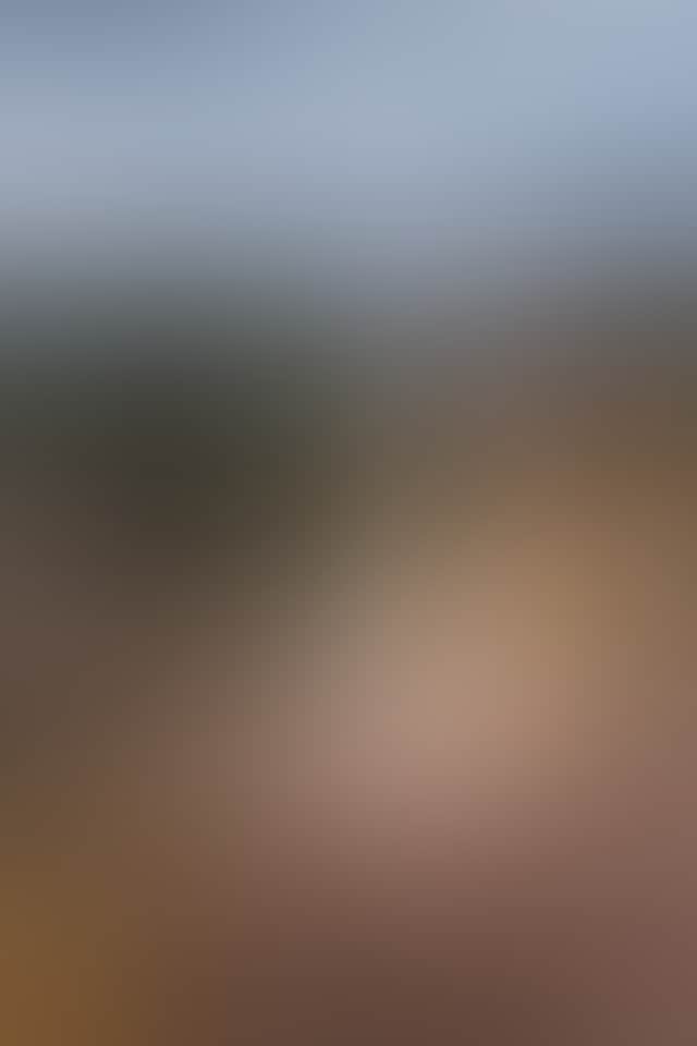 IMG 1503