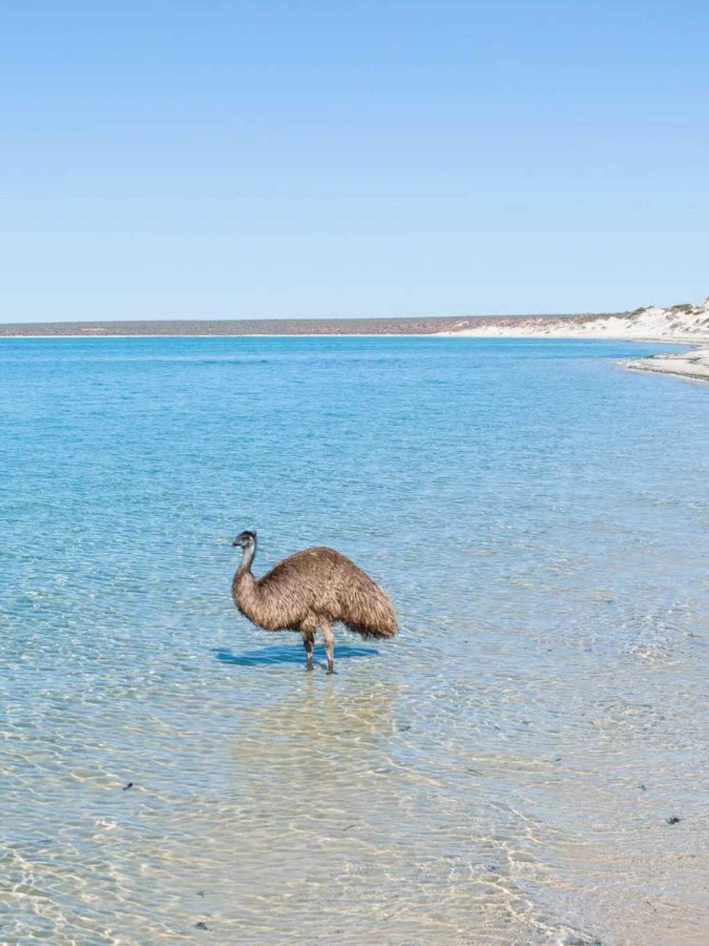 australiascoralcoast