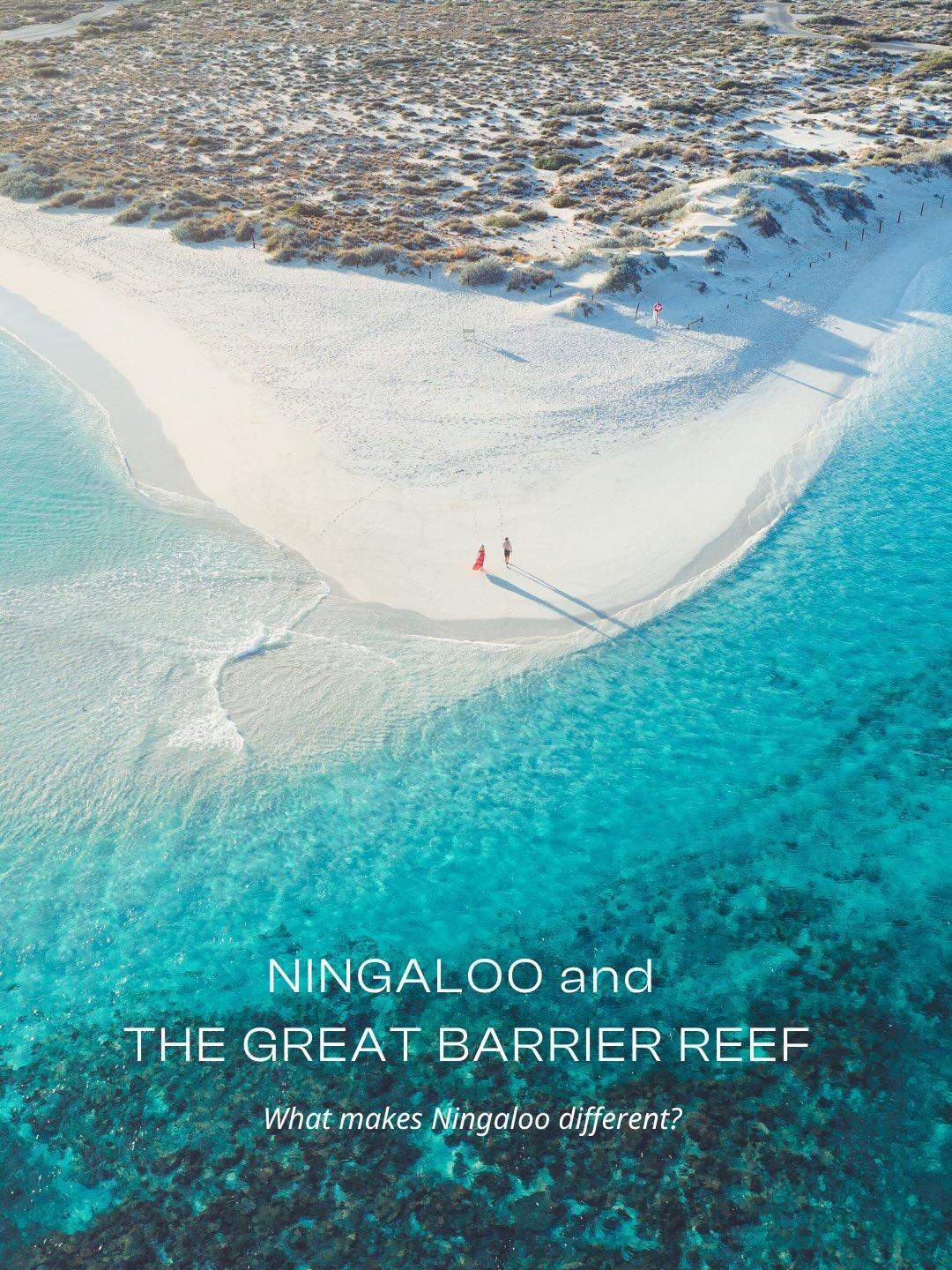australiascoralcoast
