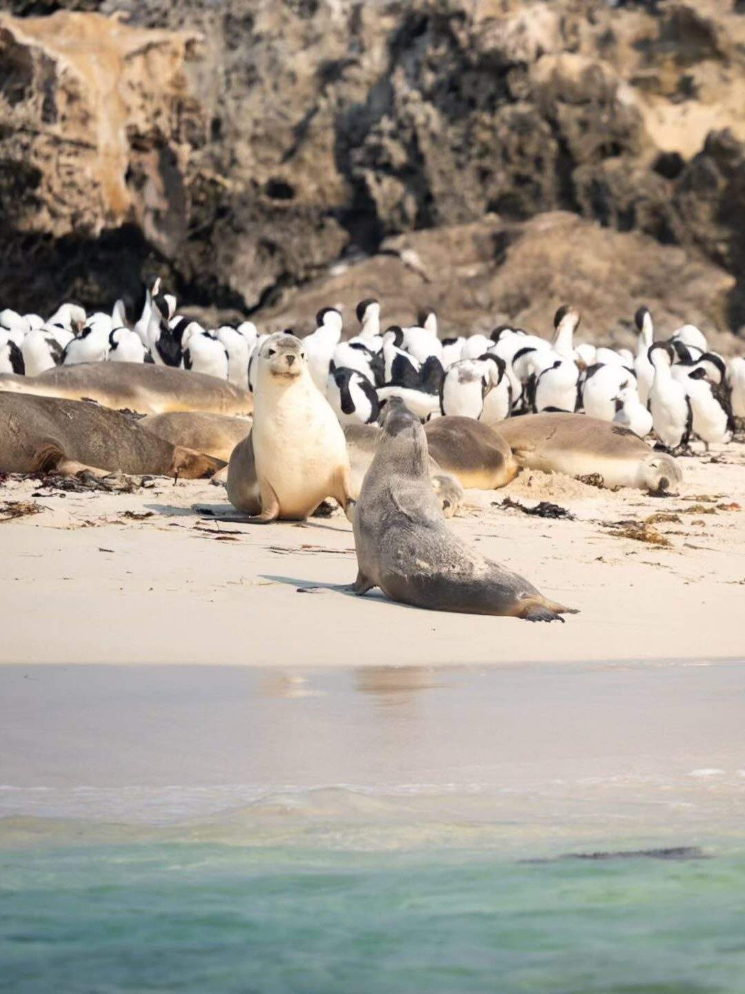 australiascoralcoast