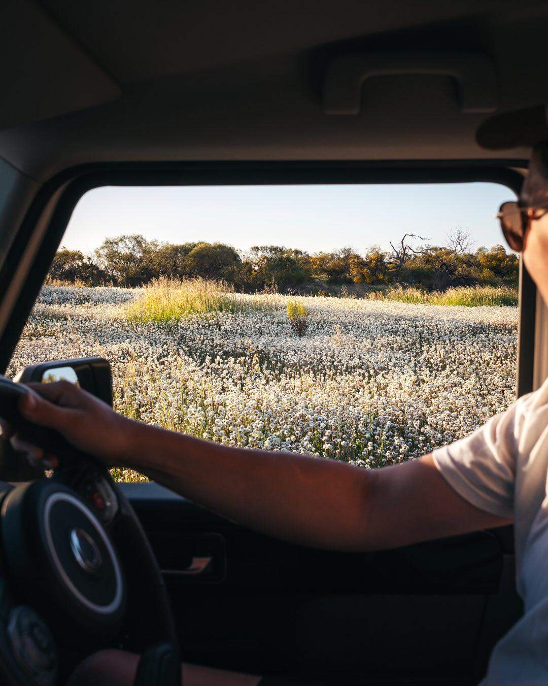 australiascoralcoast