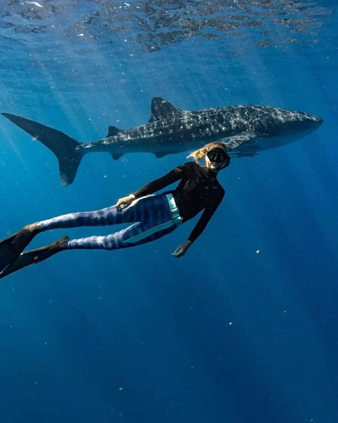 australiascoralcoast