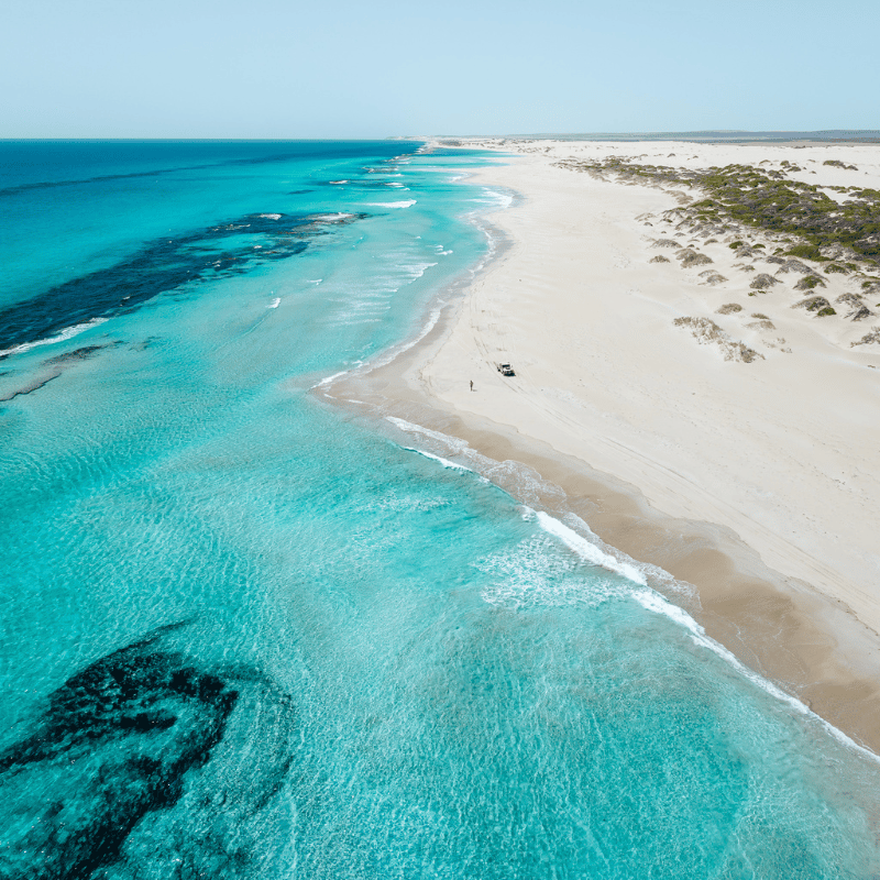 Kalbarri-Lucky-Bay-Beach