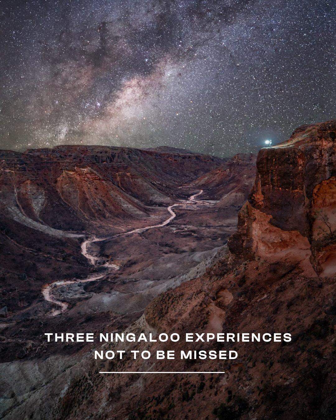 australiascoralcoast