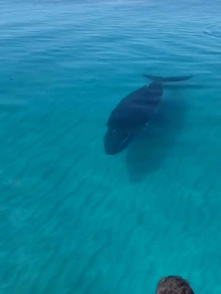 australiascoralcoast