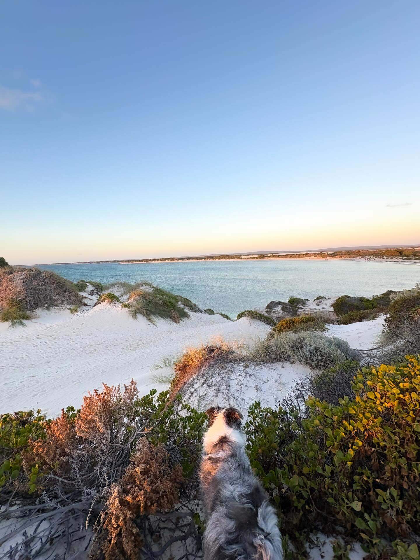 australiascoralcoast