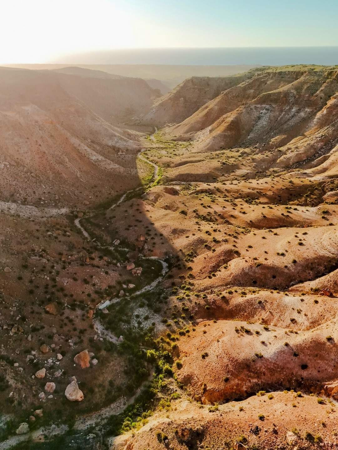 australiascoralcoast