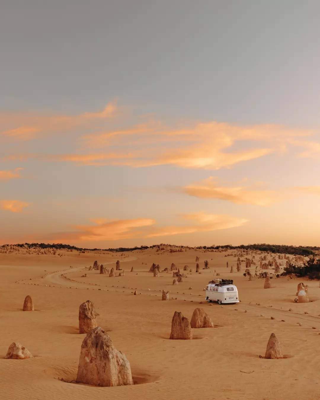 australiascoralcoast