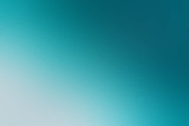 119081 56