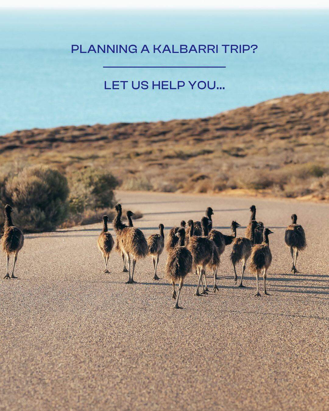 australiascoralcoast