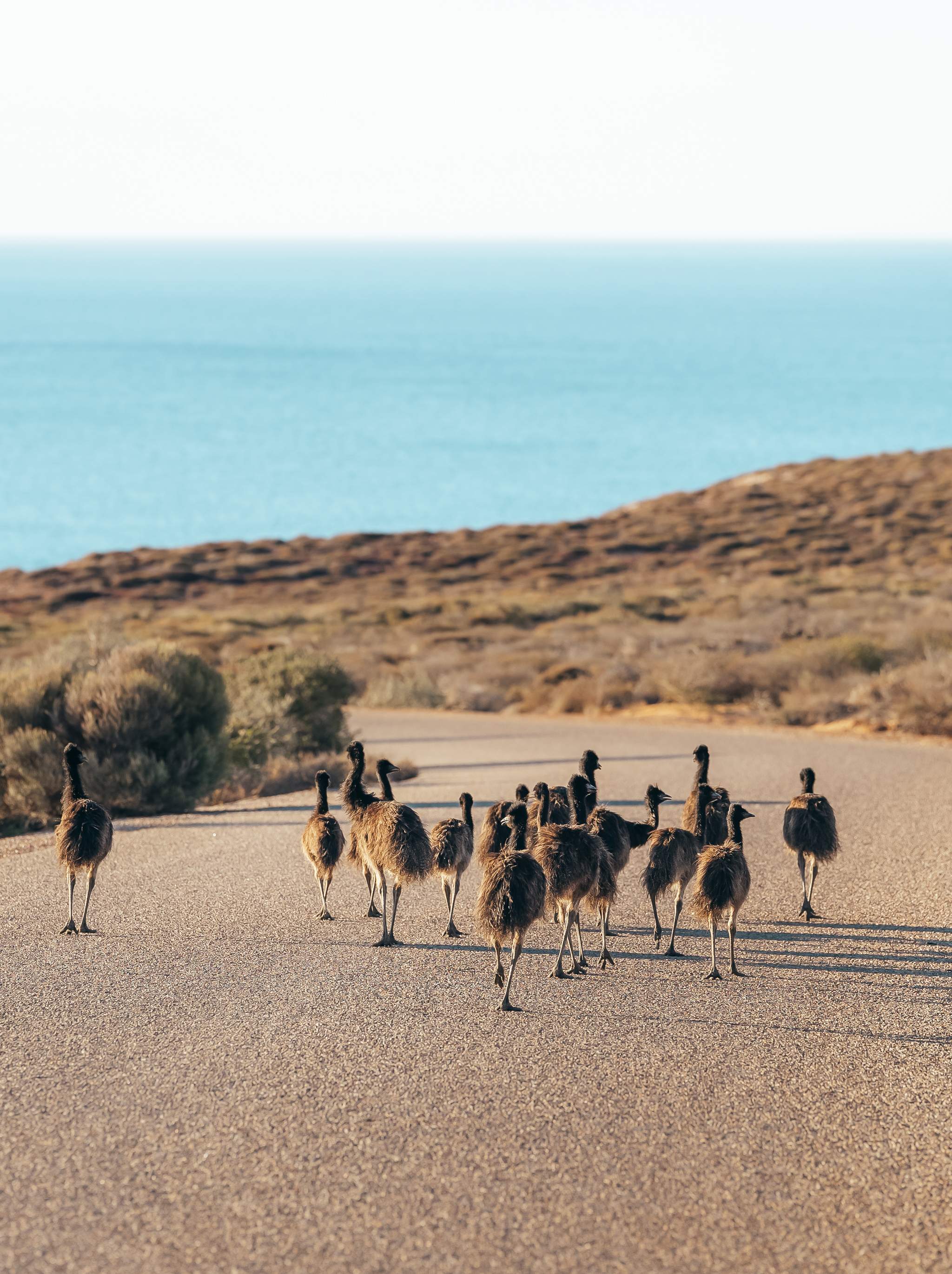 Nature's Calendar | Australia's Coral Coast