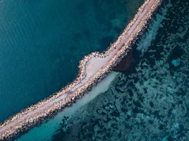 Swim with Manta Rays Coral Bay | Western… | Australia's Coral Coast