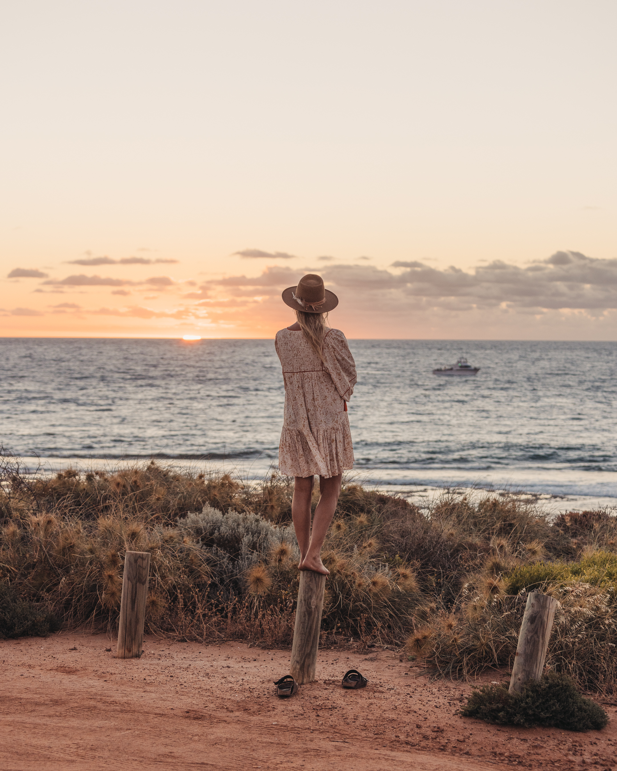 Dog Friendly Coral Coast Destinations Your Pawfect Guide