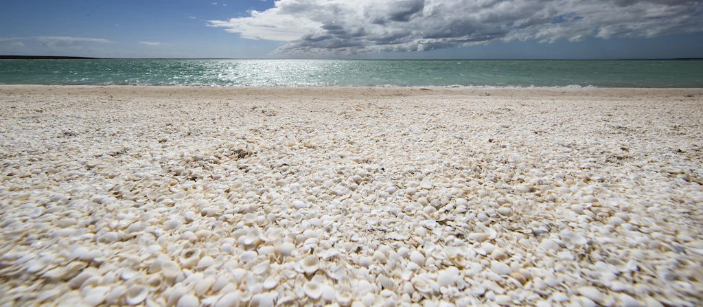 Shell Beach | Australia's Coral Coast | Australia's Coral Coast