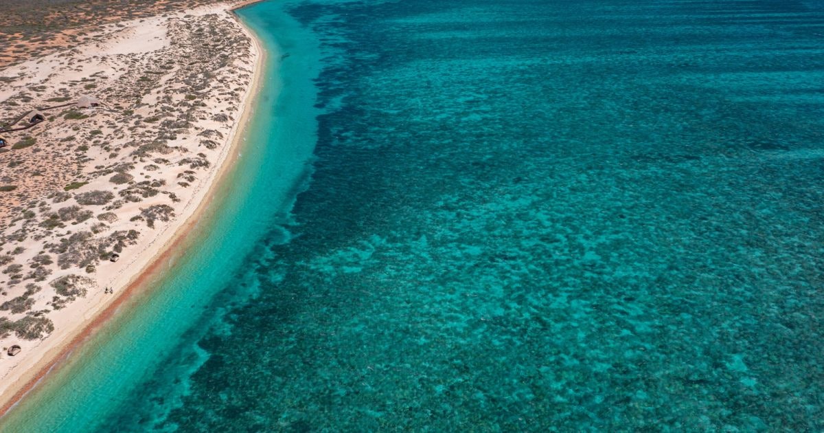 Ningaloo Reef Things to See & Do Australia's Coral Coast