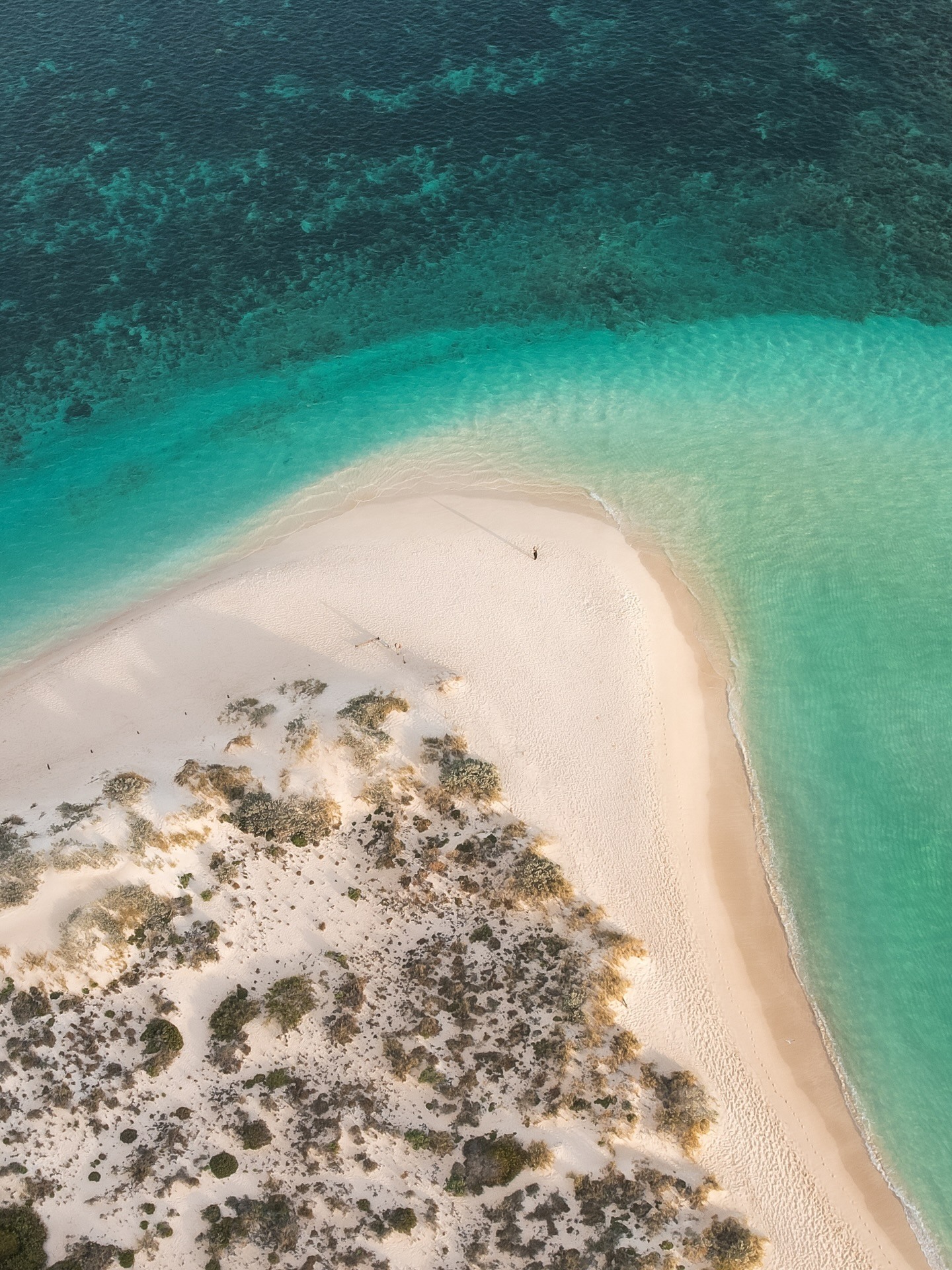 australiascoralcoast