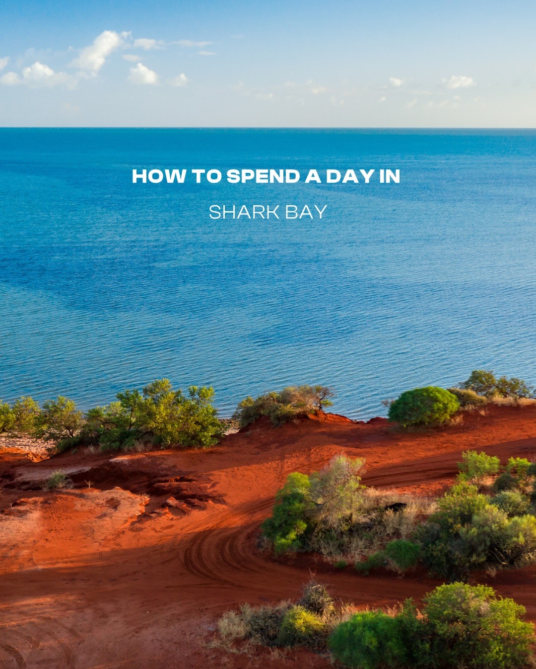 australiascoralcoast