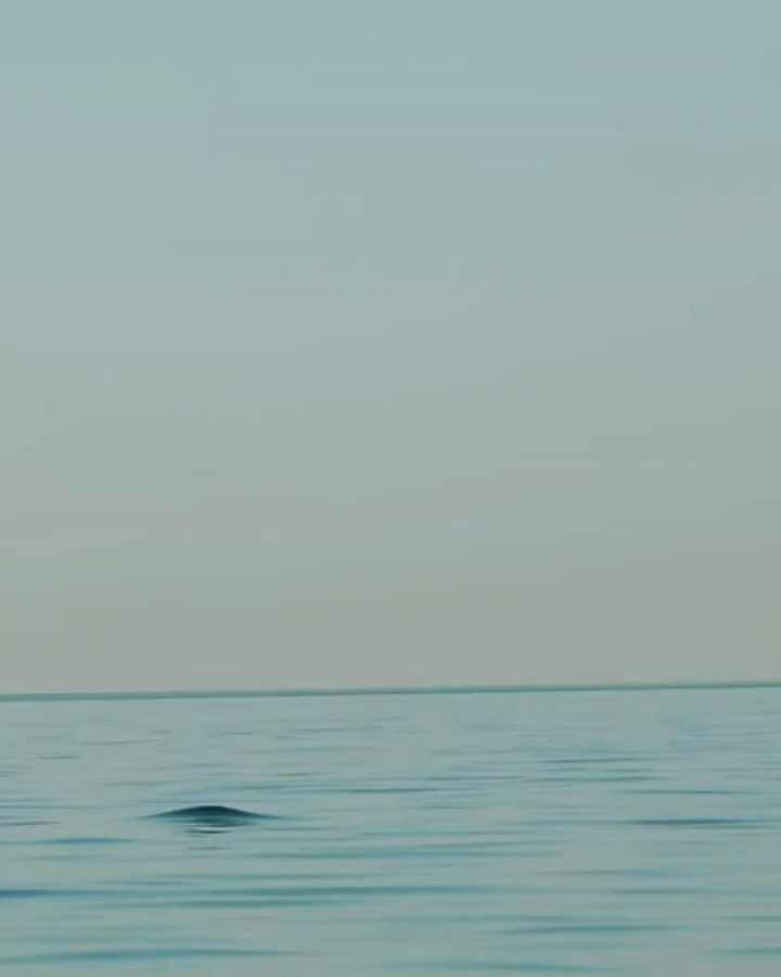 australiascoralcoast