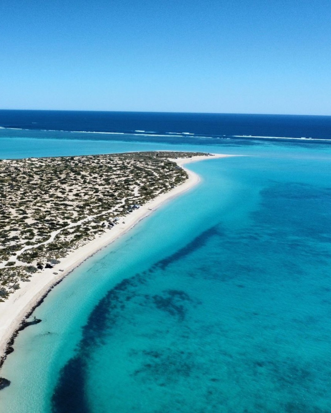 australiascoralcoast