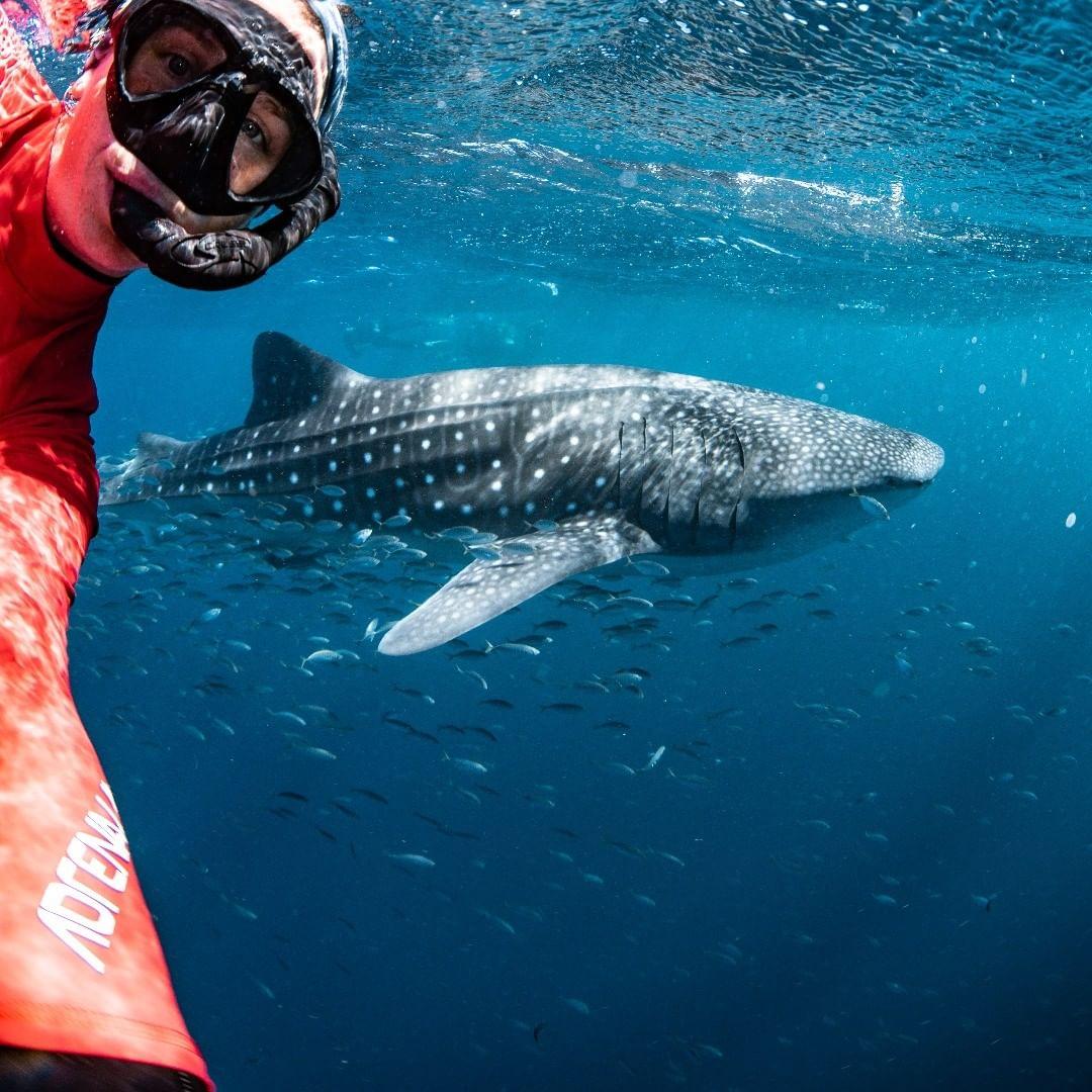 272971615 3210413349270120 1156163403557008205 n