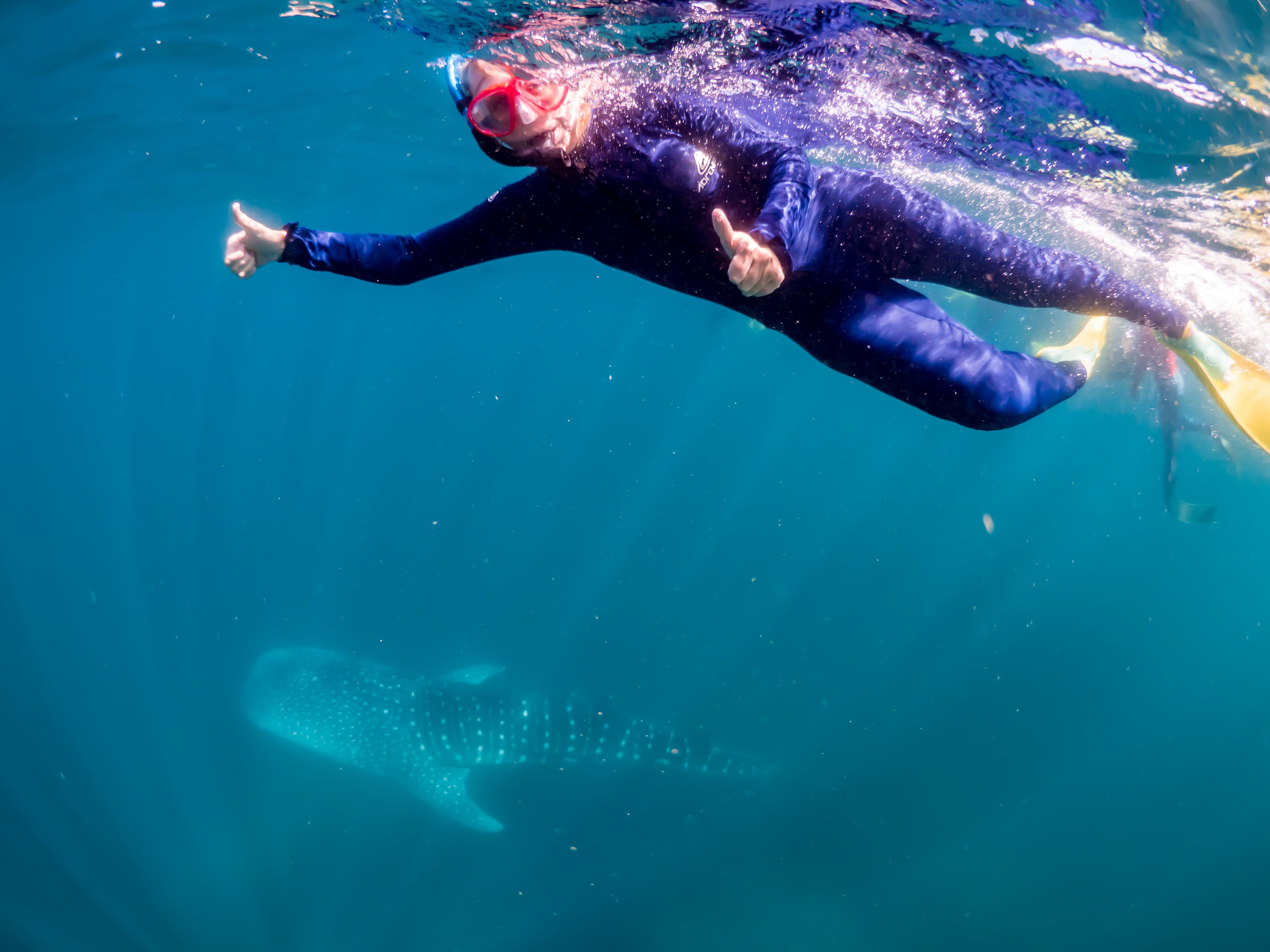 Exmouth Camper Hire Australia's Coral Coast