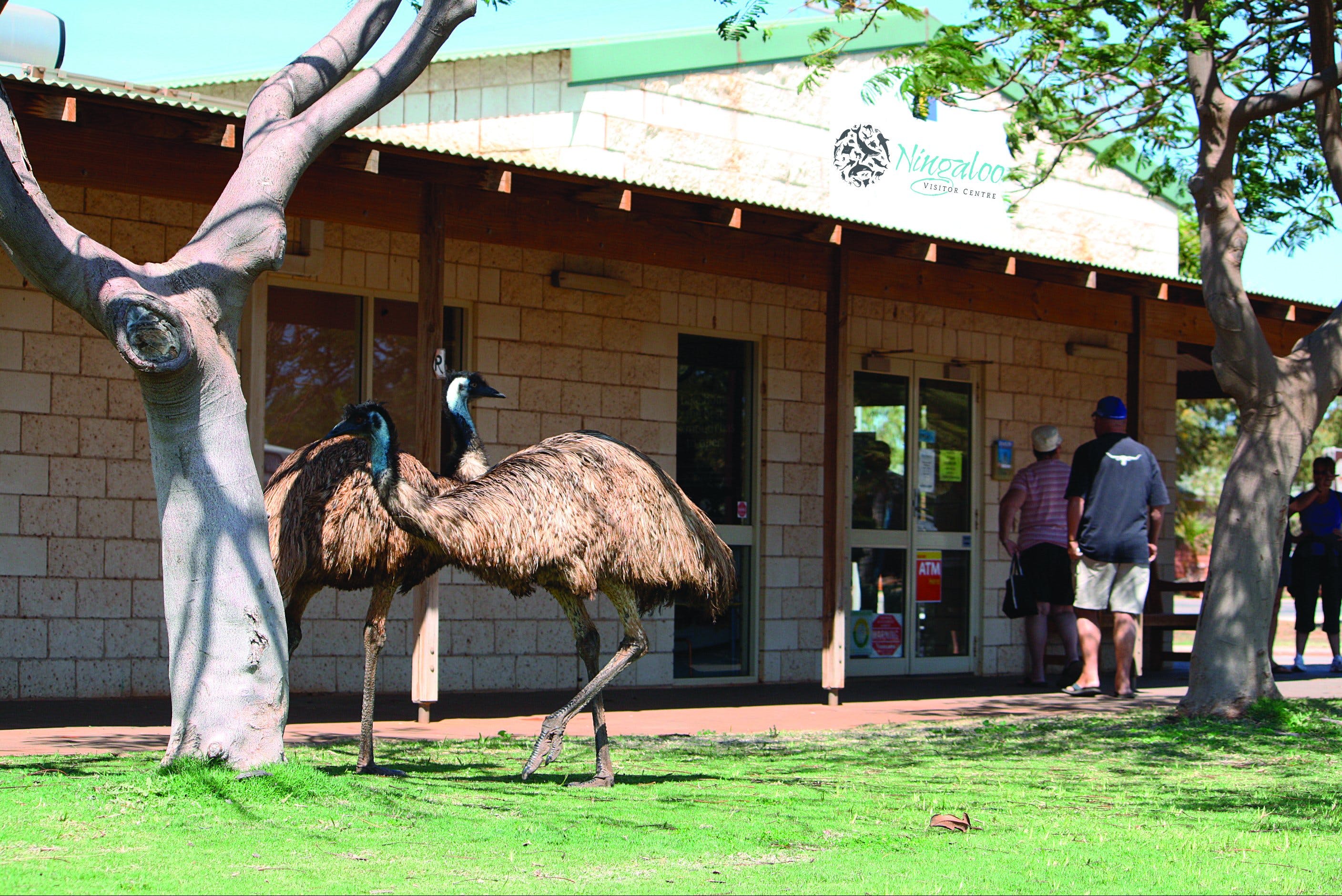 Ningaloo Visitor Centre Australia's Coral Coast
