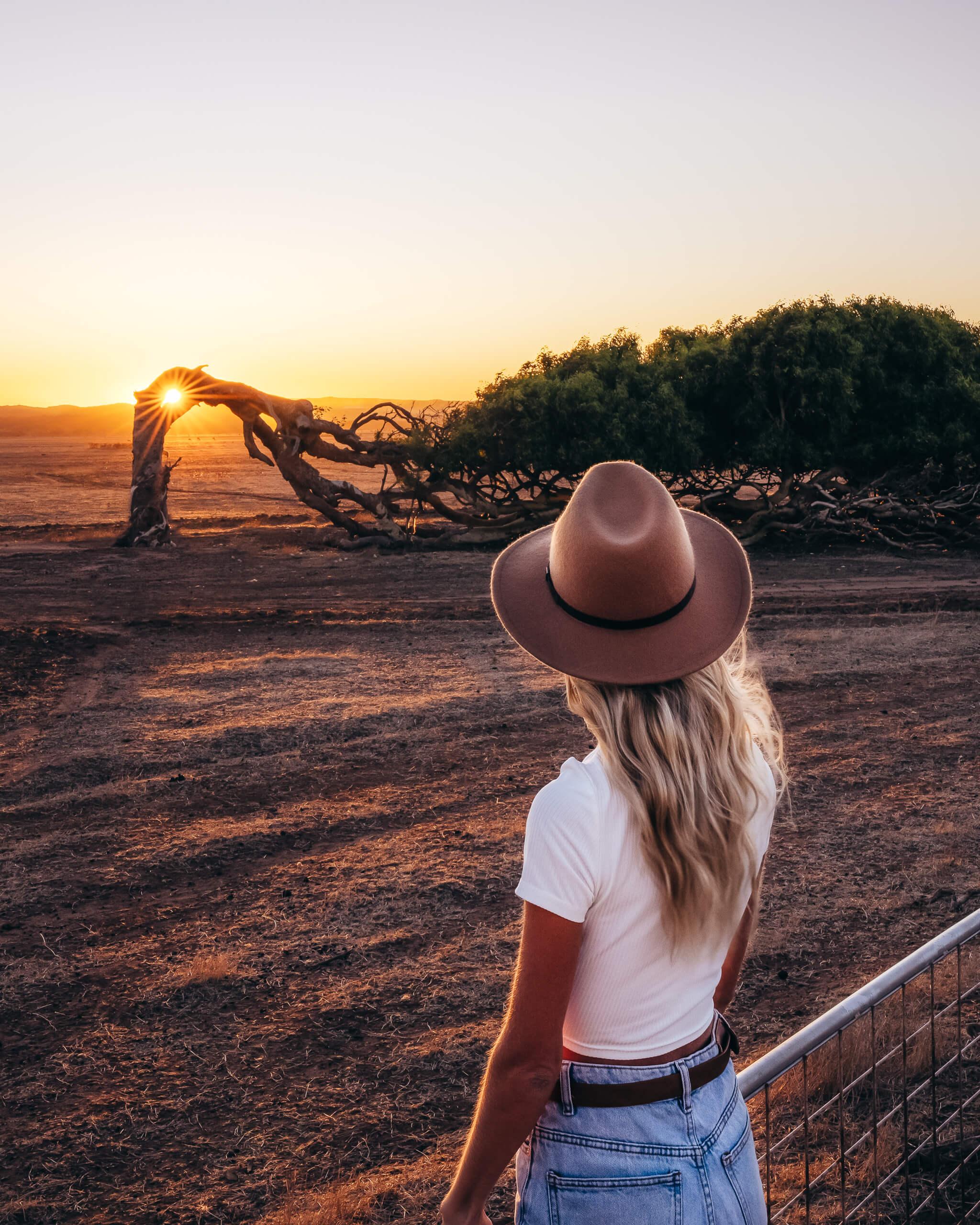 Cjmaddock Geraldton 08