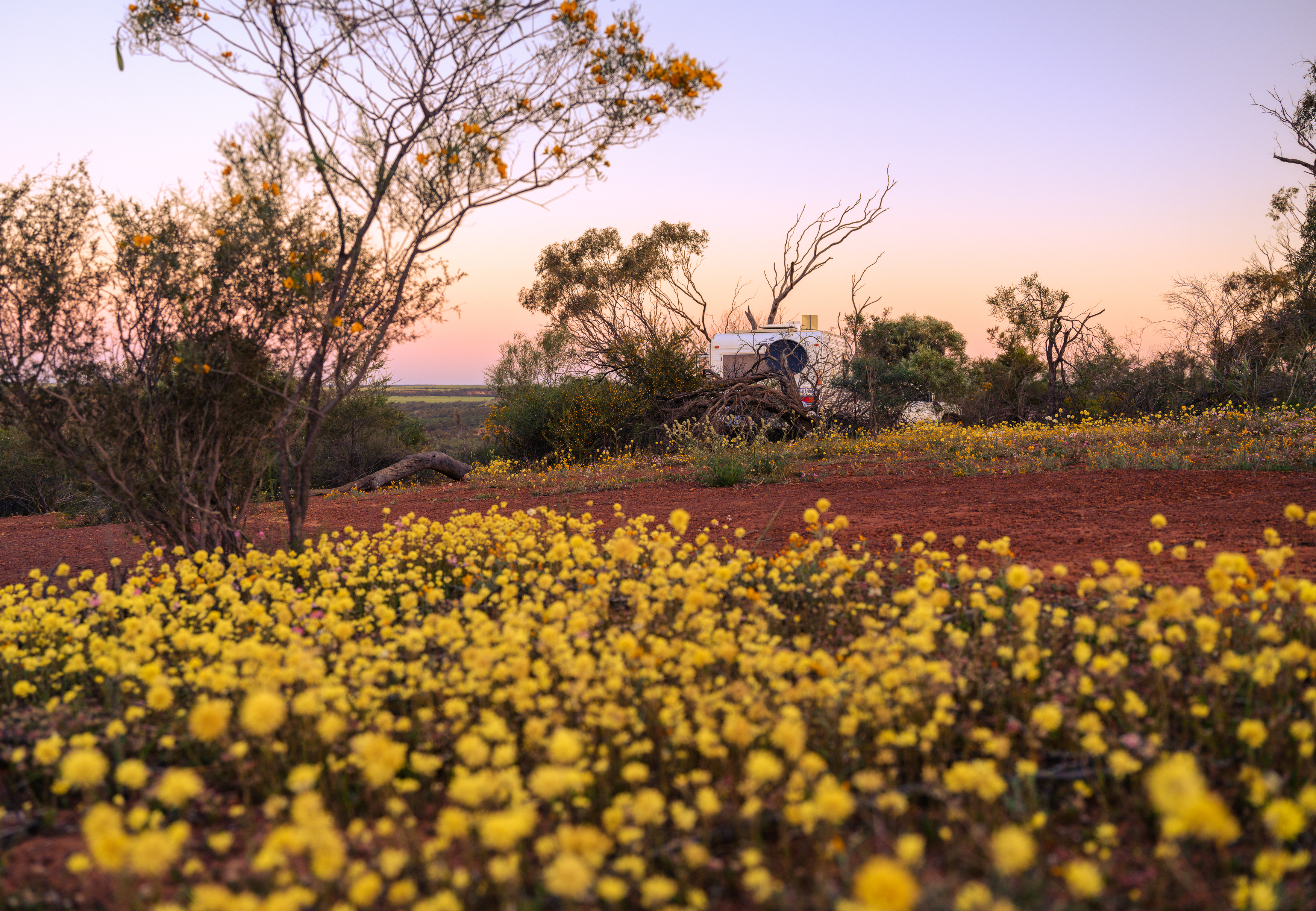 Coalseam Conservation Park caravan