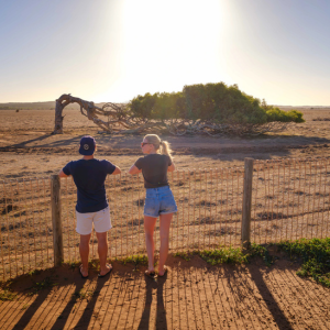 Greenough River Nature Trail