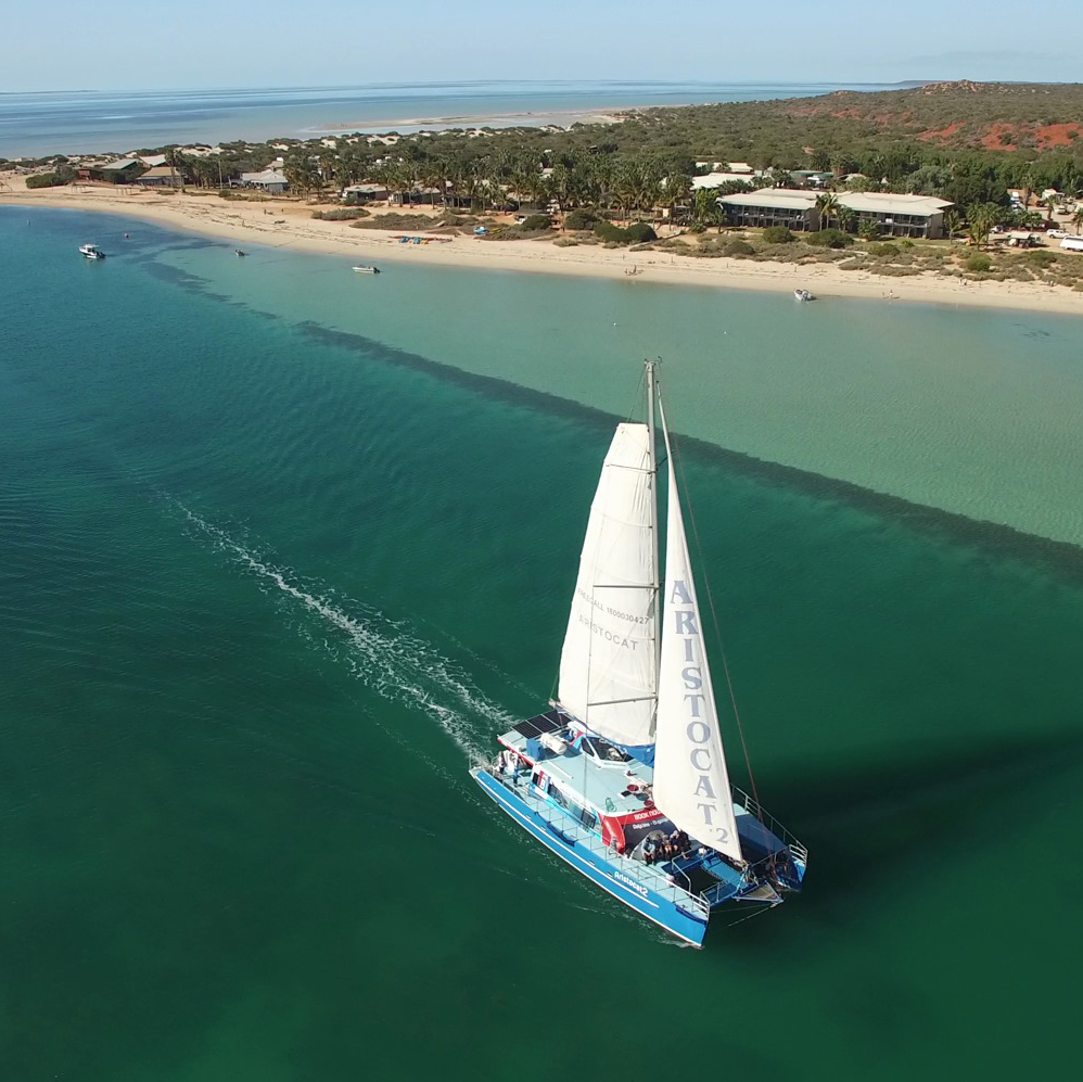 Header Perfect Nature Cruises