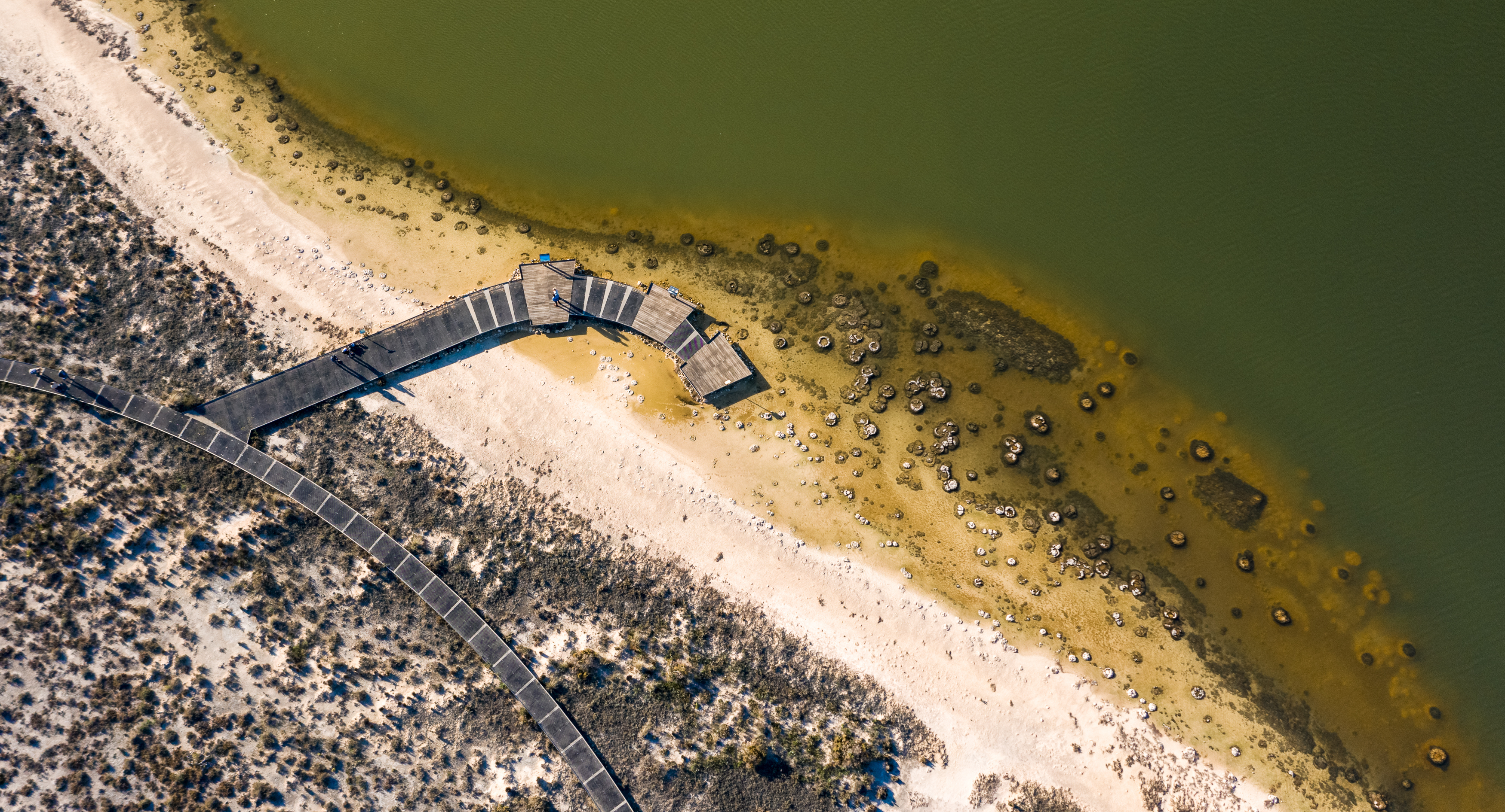 Lake Thetis Thrombolites Aerial