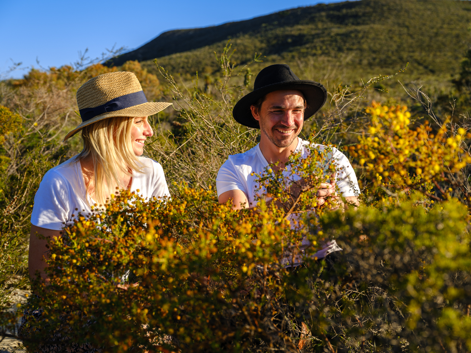 Lesueur National Park wildflowers
