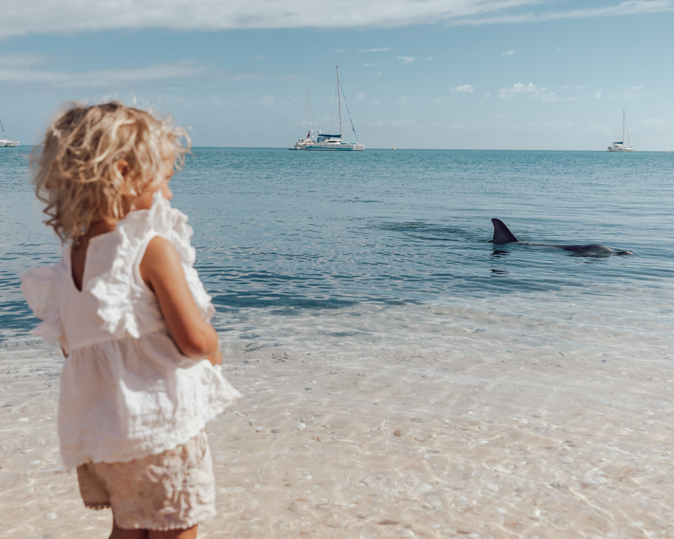 Monkey Mia Riley Travels Dolphin 3