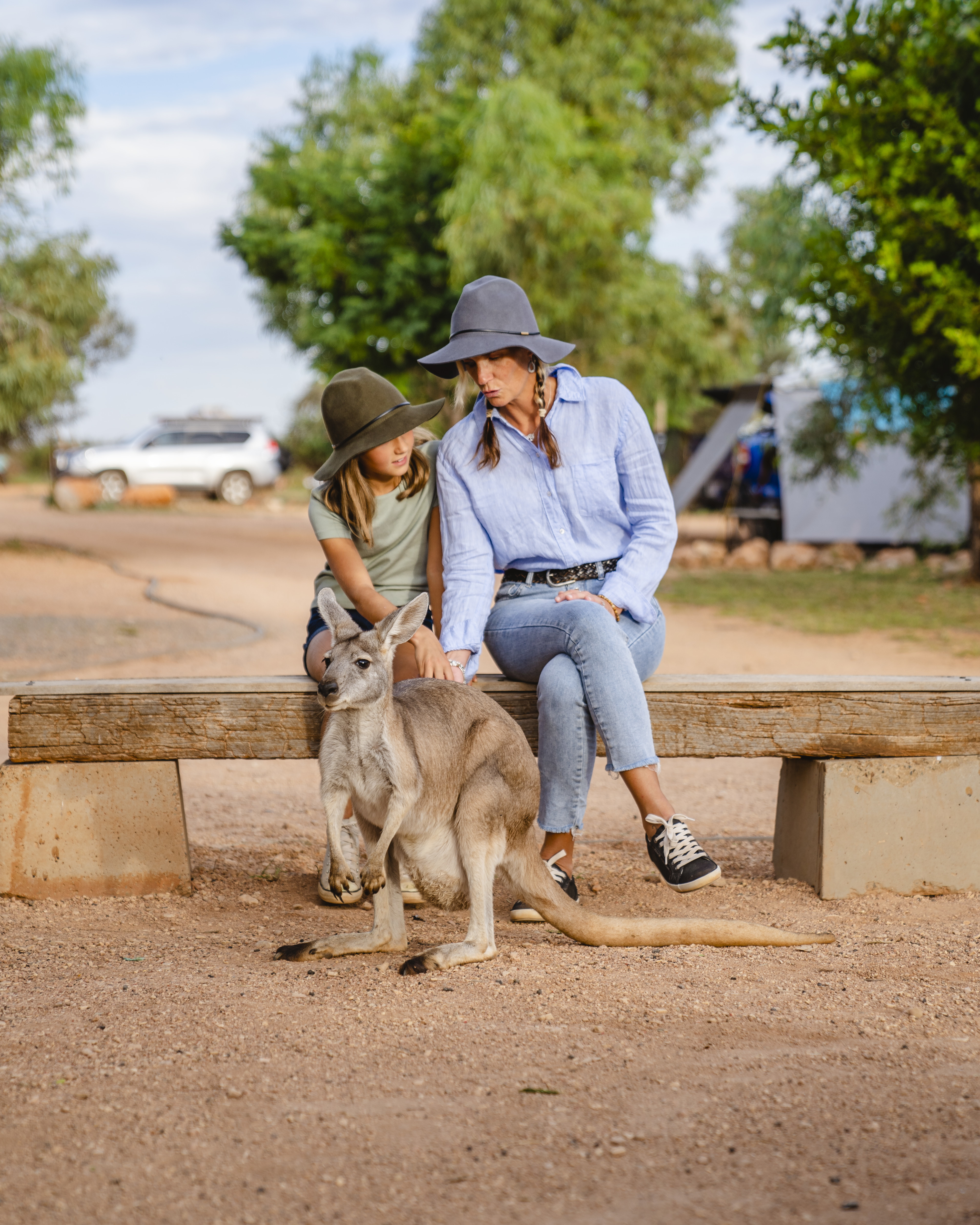 Ningaloo Bullara station Family Wildlife Kangaroo