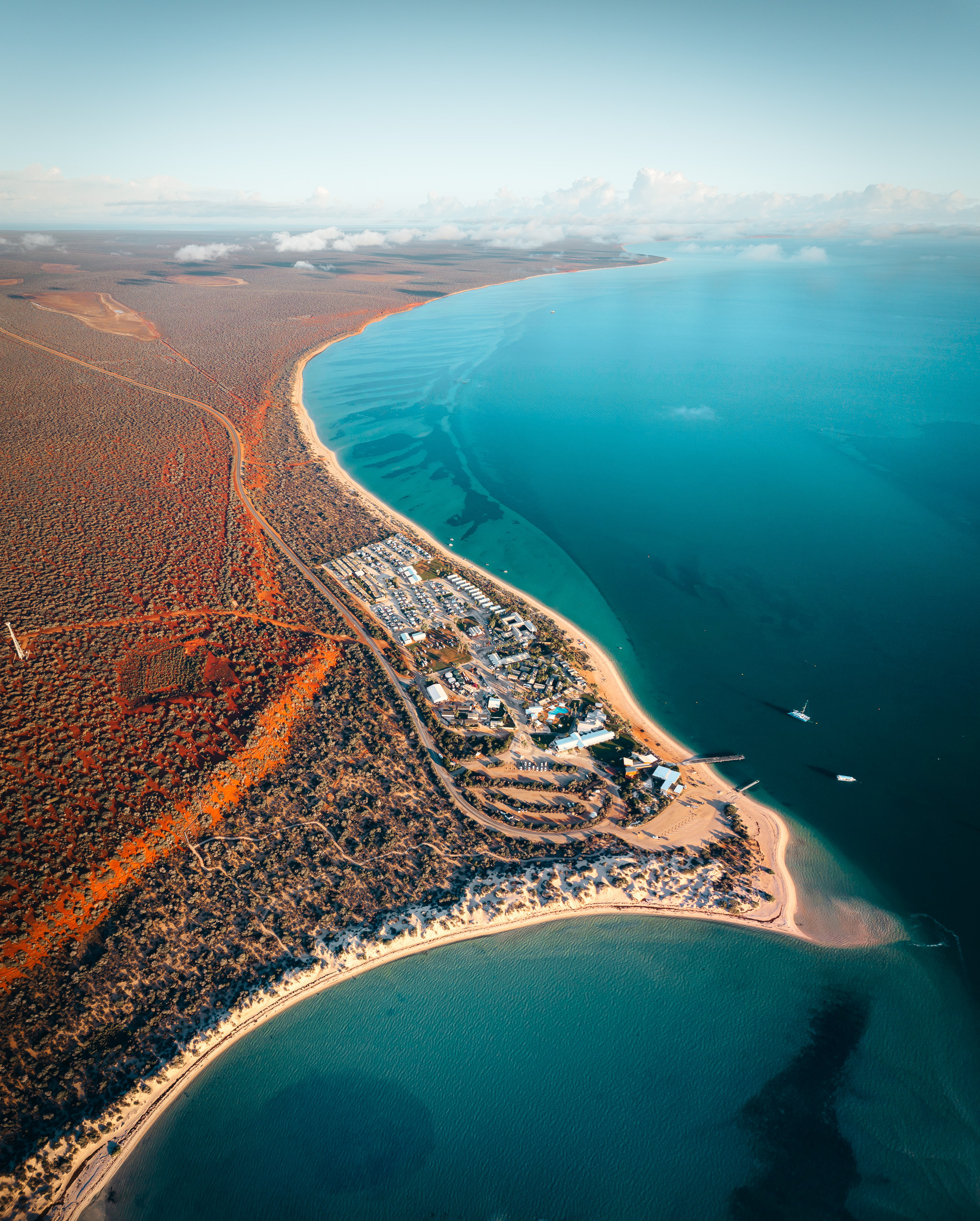 Shark Bay Monkey Mia CJ Maddock