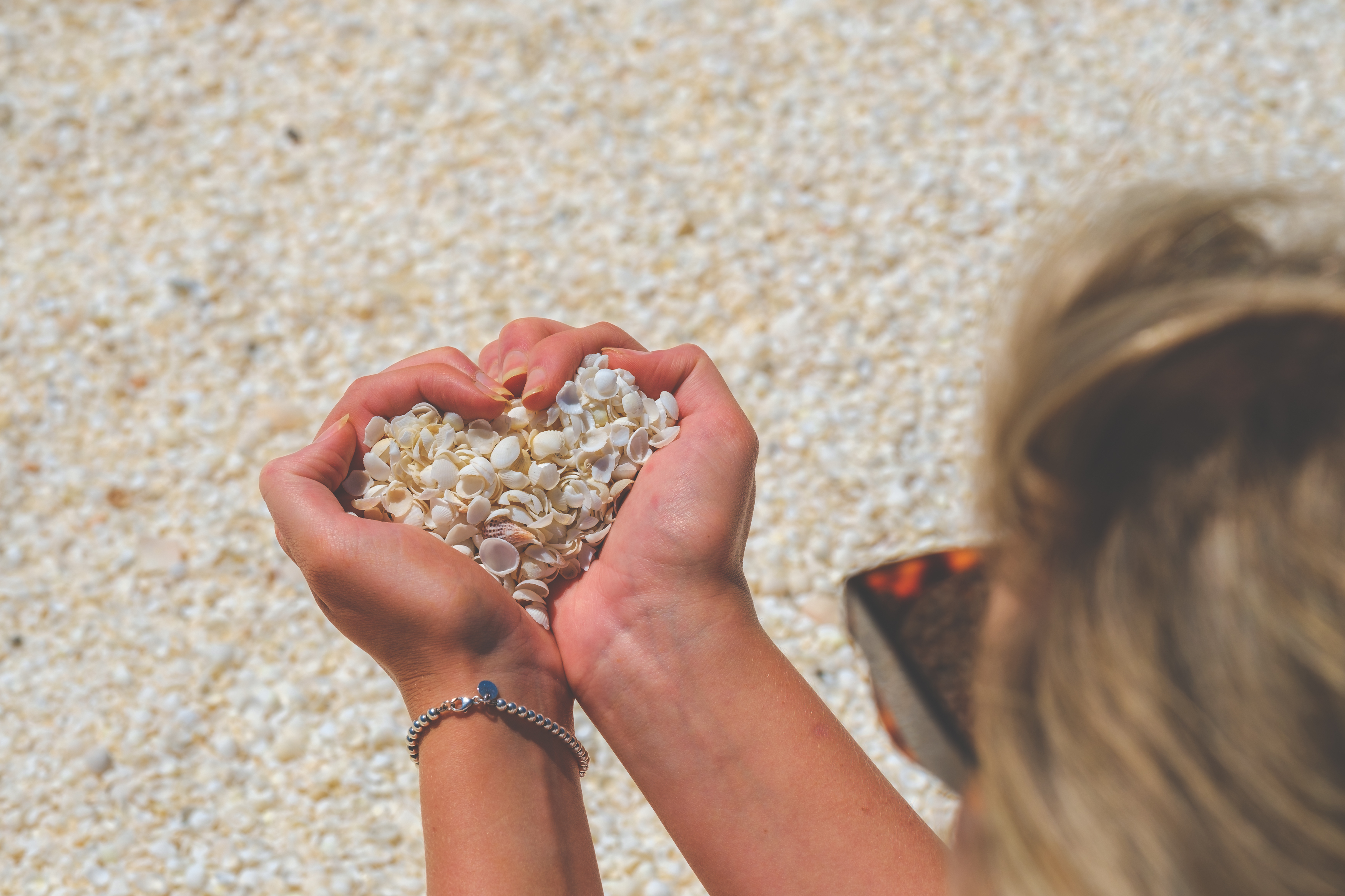Shell Beach shell loveheart
