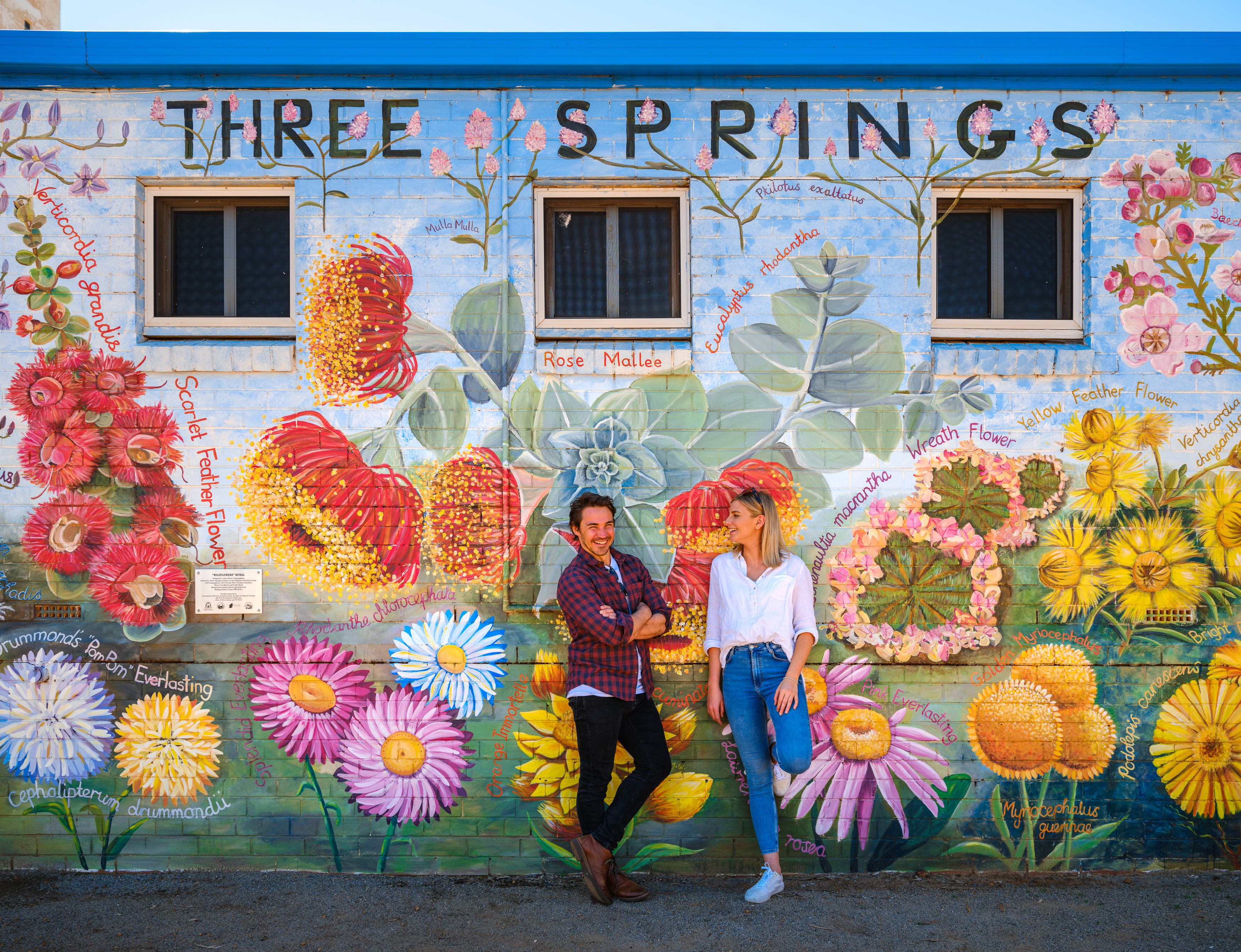 Three Springs Wildflower Country 25