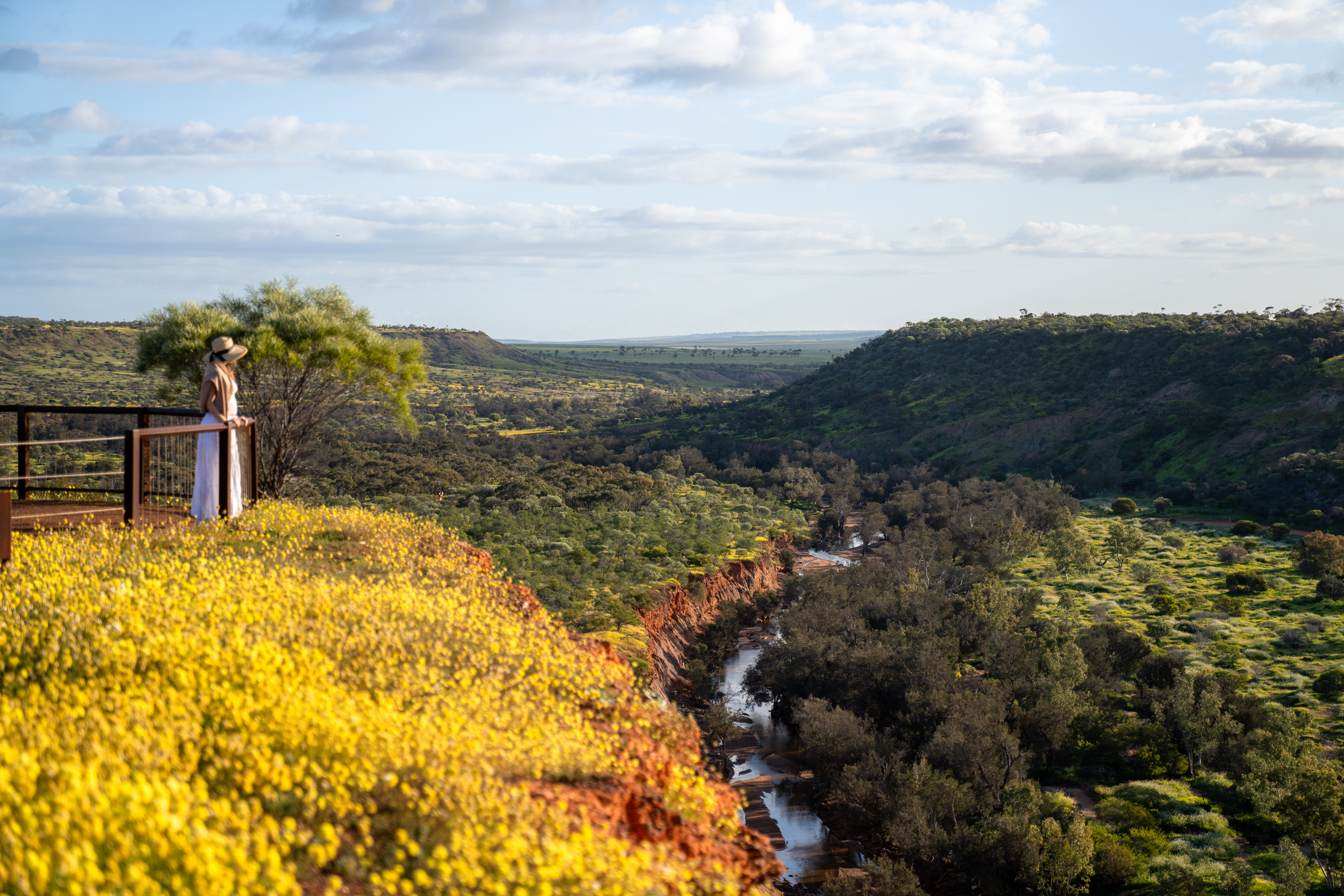 Wildflower Coalseam Conservation Park LR 5