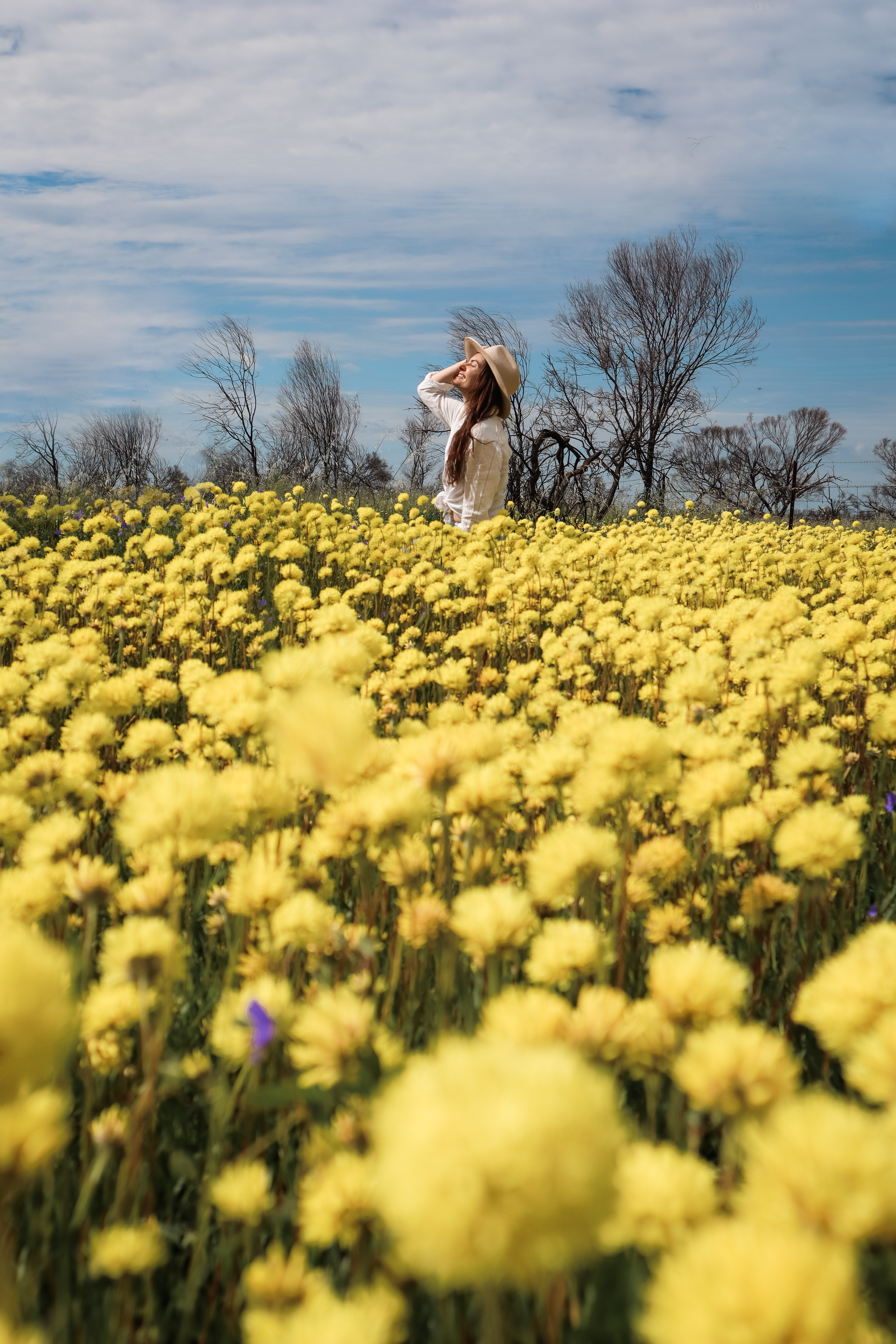 Wildflowers Tesssomewhere