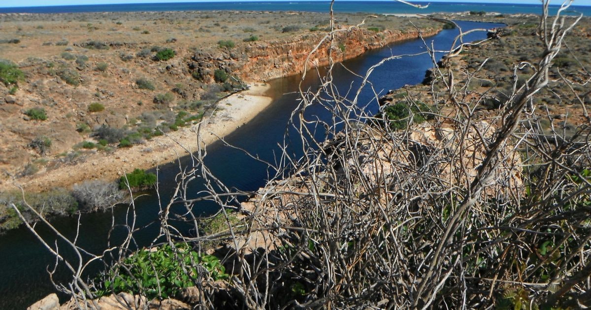 Ningaloo Reef to Range Tours | Australia's Coral Coast