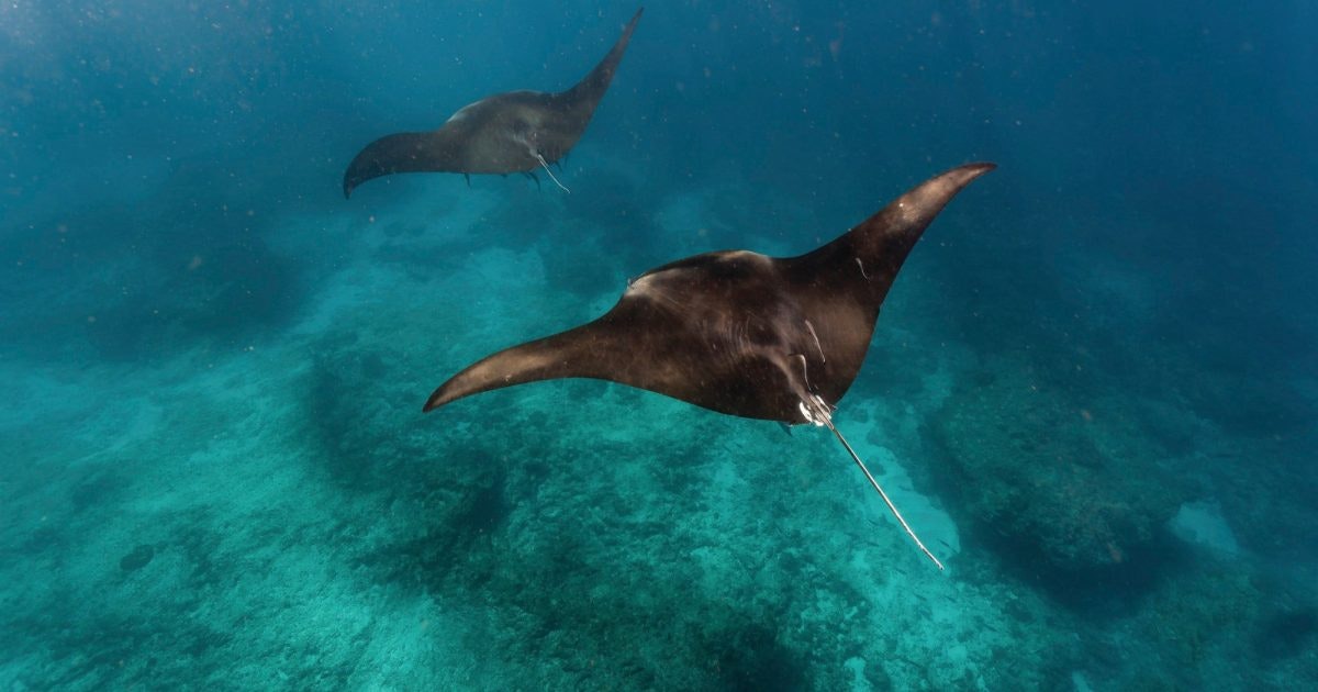 Ningaloo Visitor Centre Australia's Coral Coast