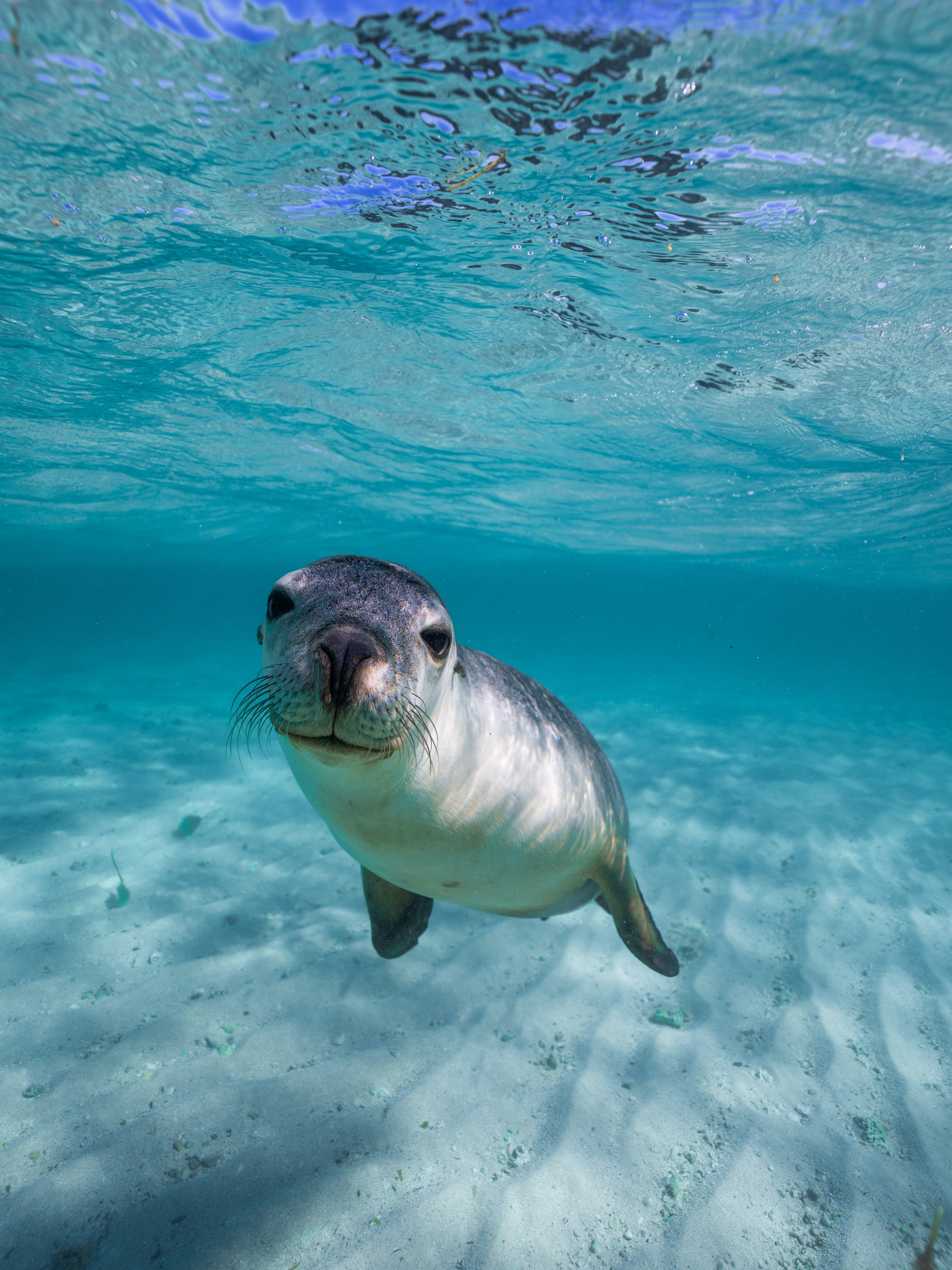 Jurien Bay Oceanic Experience Australia's Coral Coast